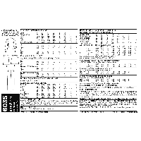 New Look-6035