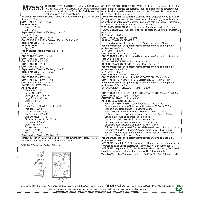 Tipar jucarii de plus M7553