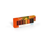 Ata de cusut SERALON® AUTUMN KIT 8 BUCATI, POLIESTER METTLER